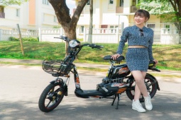 xe-dap1-1-1742994386-559-width740height495-45 Giá xe đạp điện Vnbike mới nhất cuối tháng 3/2025